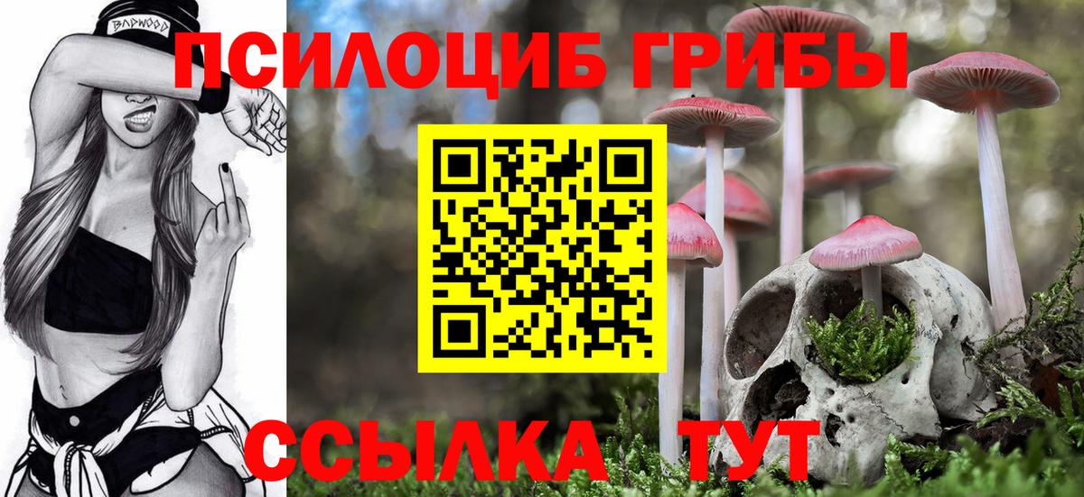 Псилоцибиновые грибы GOLDEN TEACHER Петрозаводск