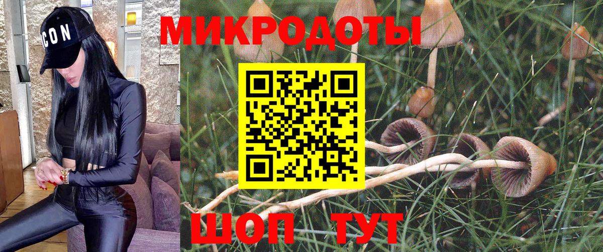Петрозаводск  купить наркотики цена  Вход с VPN  Псилоцибиновые грибы Psilocybine cubensis 